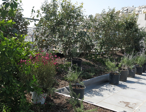 Private Roof garden in Kastella, 2016